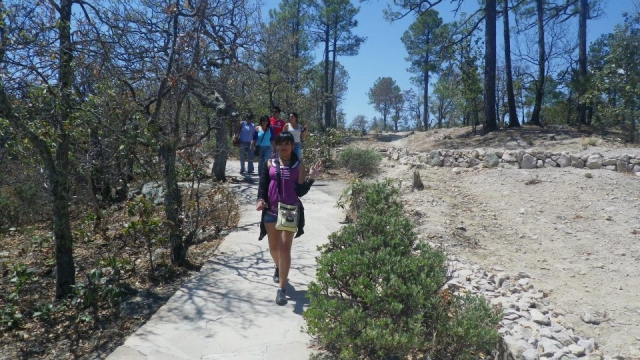  Nature trails 